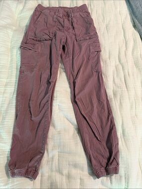 American Eagle Outfitters Wide-Leg Cargo Pants in Plum